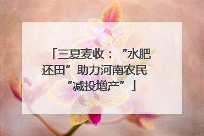 三夏麦收：“水肥还田”助力河南农民“减投增产”
