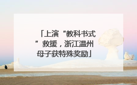 上演“教科书式”救援，浙江温州母子获特殊奖励
