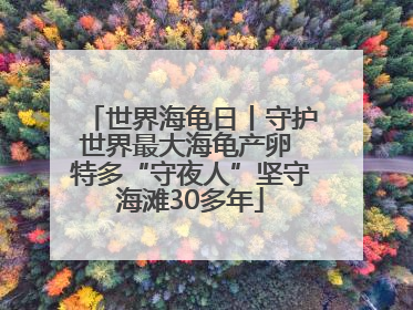 世界海龟日丨守护世界最大海龟产卵 特多“守夜人”坚守海滩30多年