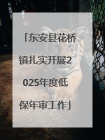 东安县花桥镇扎实开展2025年度低保年审工作