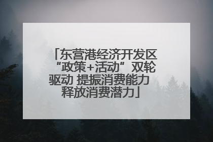 东营港经济开发区“政策+活动”双轮驱动 提振消费能力 释放消费潜力
