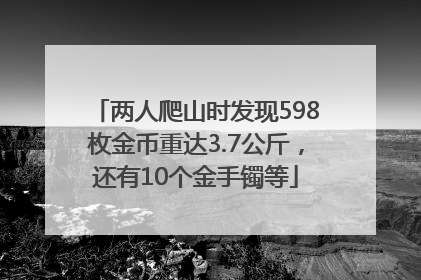 两人爬山时发现598枚金币重达3.7公斤，还有10个金手镯等