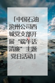 中国石油滨州公司西城党支部开展“端午话清廉”主题党日活动