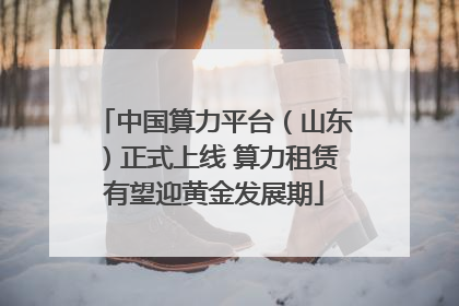 中国算力平台（山东）正式上线 算力租赁有望迎黄金发展期