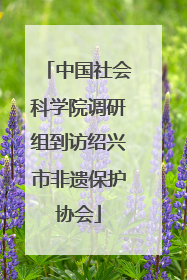 中国社会科学院调研组到访绍兴市非遗保护协会