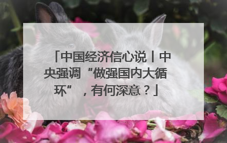 中国经济信心说丨中央强调“做强国内大循环”，有何深意？