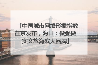 中国城市网络形象指数在京发布，海口：做强做实文旅海滨大品牌