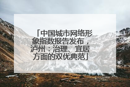 中国城市网络形象指数报告发布，泸州：治理、宜居方面的双优典范
