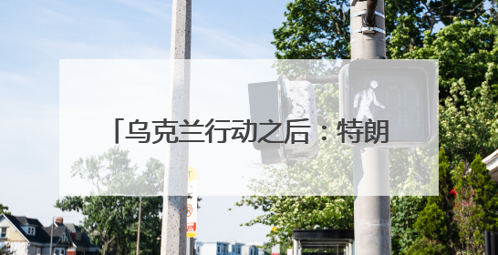 乌克兰行动之后：特朗普沉默 美特使警告
