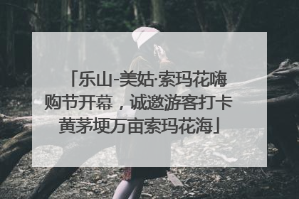 乐山-美姑·索玛花嗨购节开幕，诚邀游客打卡黄茅埂万亩索玛花海