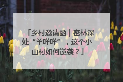乡村邀请函｜密林深处“羊咩咩”，这个小山村如何逆袭？