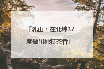 乳山：在北纬37度做出独特茶香