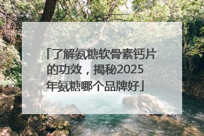 了解氨糖软骨素钙片的功效，揭秘2025年氨糖哪个品牌好