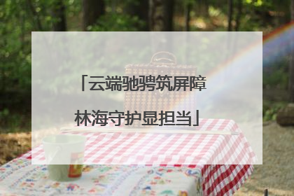 云端驰骋筑屏障 林海守护显担当