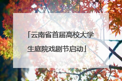 云南省首届高校大学生庭院戏剧节启动