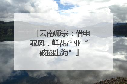 云南师宗：借电驭风，鲜花产业“破圈出海”
