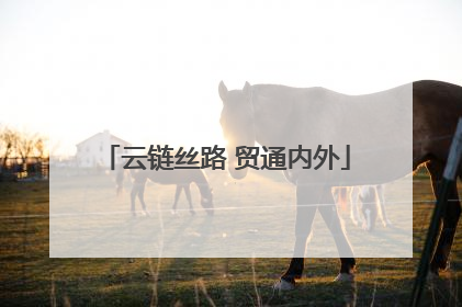 云链丝路 贸通内外