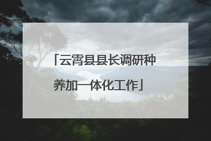 云霄县县长调研种养加一体化工作