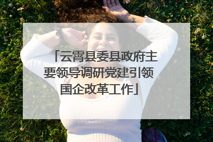 云霄县委县政府主要领导调研党建引领国企改革工作