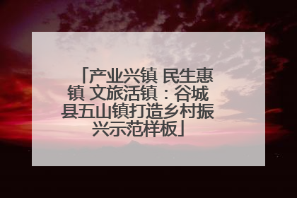 产业兴镇 民生惠镇 文旅活镇：谷城县五山镇打造乡村振兴示范样板