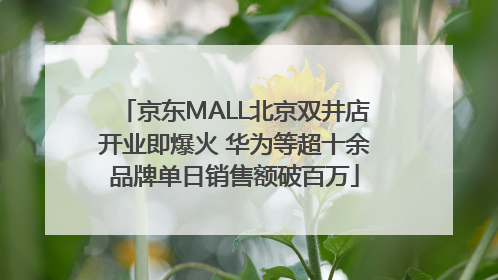 京东MALL北京双井店开业即爆火 华为等超十余品牌单日销售额破百万