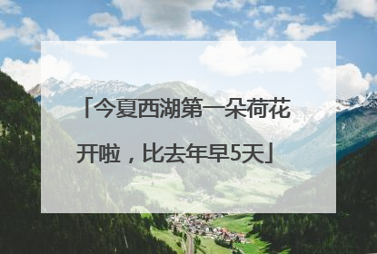 今夏西湖第一朵荷花开啦，比去年早5天