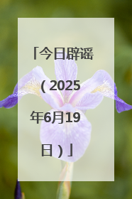 今日辟谣（2025年6月19日）