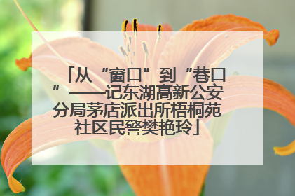 从“窗口”到“巷口”——记东湖高新公安分局茅店派出所梧桐苑社区民警樊艳玲