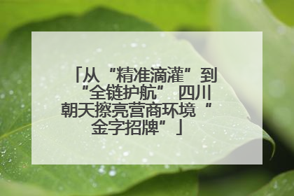 从“精准滴灌”到“全链护航” 四川朝天擦亮营商环境“金字招牌”