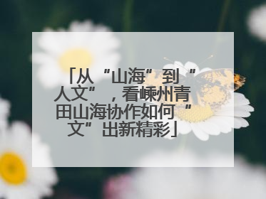 从“山海”到“人文”，看嵊州青田山海协作如何“文”出新精彩