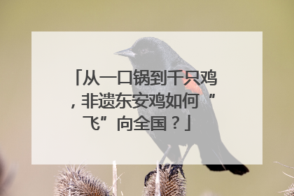 从一口锅到千只鸡，非遗东安鸡如何“飞”向全国？