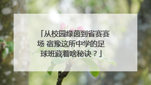 从校园绿茵到省赛赛场 宿豫这所中学的足球班藏着啥秘诀？