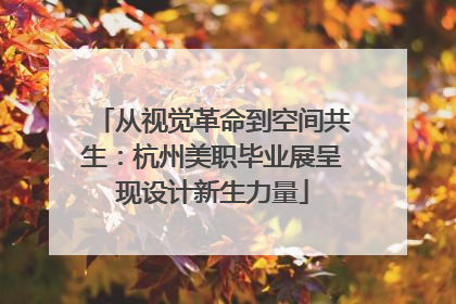 从视觉革命到空间共生：杭州美职毕业展呈现设计新生力量
