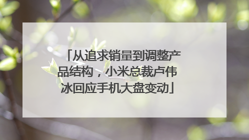 从追求销量到调整产品结构，小米总裁卢伟冰回应手机大盘变动