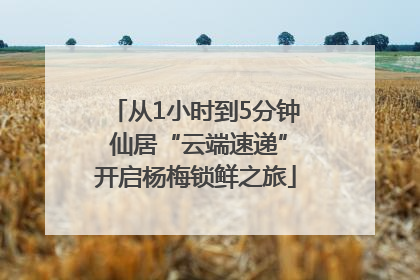 从1小时到5分钟 仙居“云端速递”开启杨梅锁鲜之旅