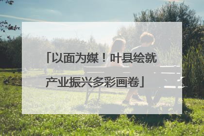 以面为媒！叶县绘就产业振兴多彩画卷