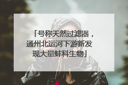 号称天然过滤器,通州北运河下游新发现大量蚌科生物