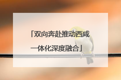 双向奔赴推动西咸一体化深度融合