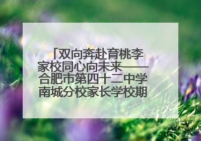 双向奔赴育桃李 家校同心向未来——合肥市第四十二中学南城分校家长学校期末总结会圆满召开