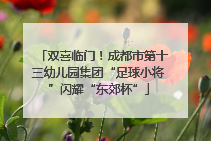 双喜临门！成都市第十三幼儿园集团“足球小将”闪耀“东郊杯”