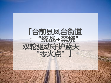 台前县凤台街道：“统战+禁烧”双轮驱动守护蓝天 “零火点”