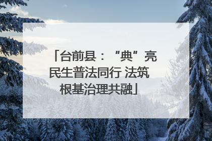 台前县：“典”亮民生普法同行 法筑根基治理共融