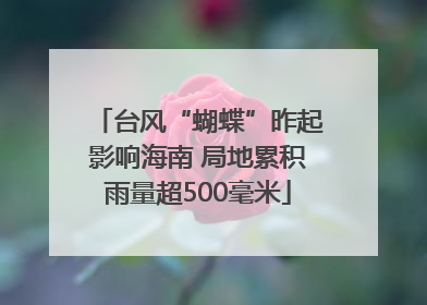 台风“蝴蝶”昨起影响海南 局地累积雨量超500毫米
