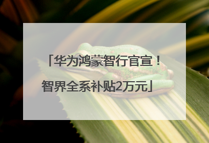 华为鸿蒙智行官宣！智界全系补贴2万元
