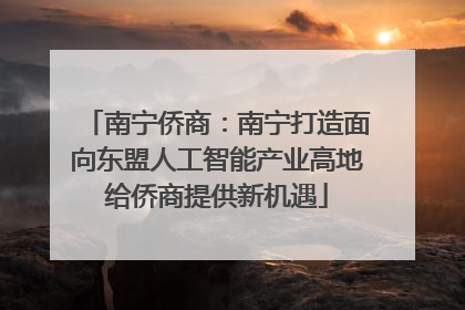 南宁侨商：南宁打造面向东盟人工智能产业高地给侨商提供新机遇