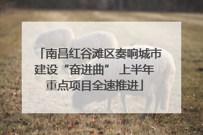 南昌红谷滩区奏响城市建设“奋进曲” 上半年重点项目全速推进