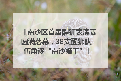 南沙区首届醒狮表演赛圆满落幕，38支醒狮队伍角逐“南沙狮王”