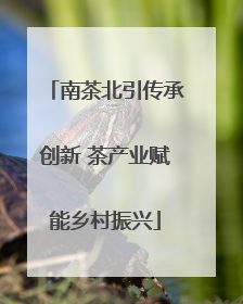 南茶北引传承创新 茶产业赋能乡村振兴