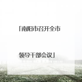 南阳市召开全市领导干部会议