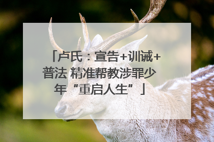 卢氏：宣告+训诫+普法 精准帮教涉罪少年“重启人生”